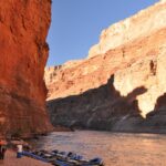 leadership and management