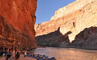 Leadership and Management – Taking a deeper dive into ubiquitous terms