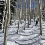 What's More important