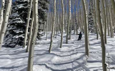 What’s More Important – Making more Money or Exploring Fresh Opportunities?