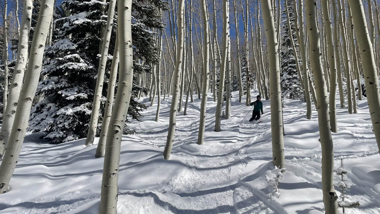 whats-more-important What's More important