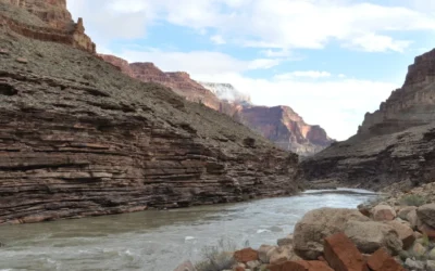 Your AI Content Is Giving Me A Headache